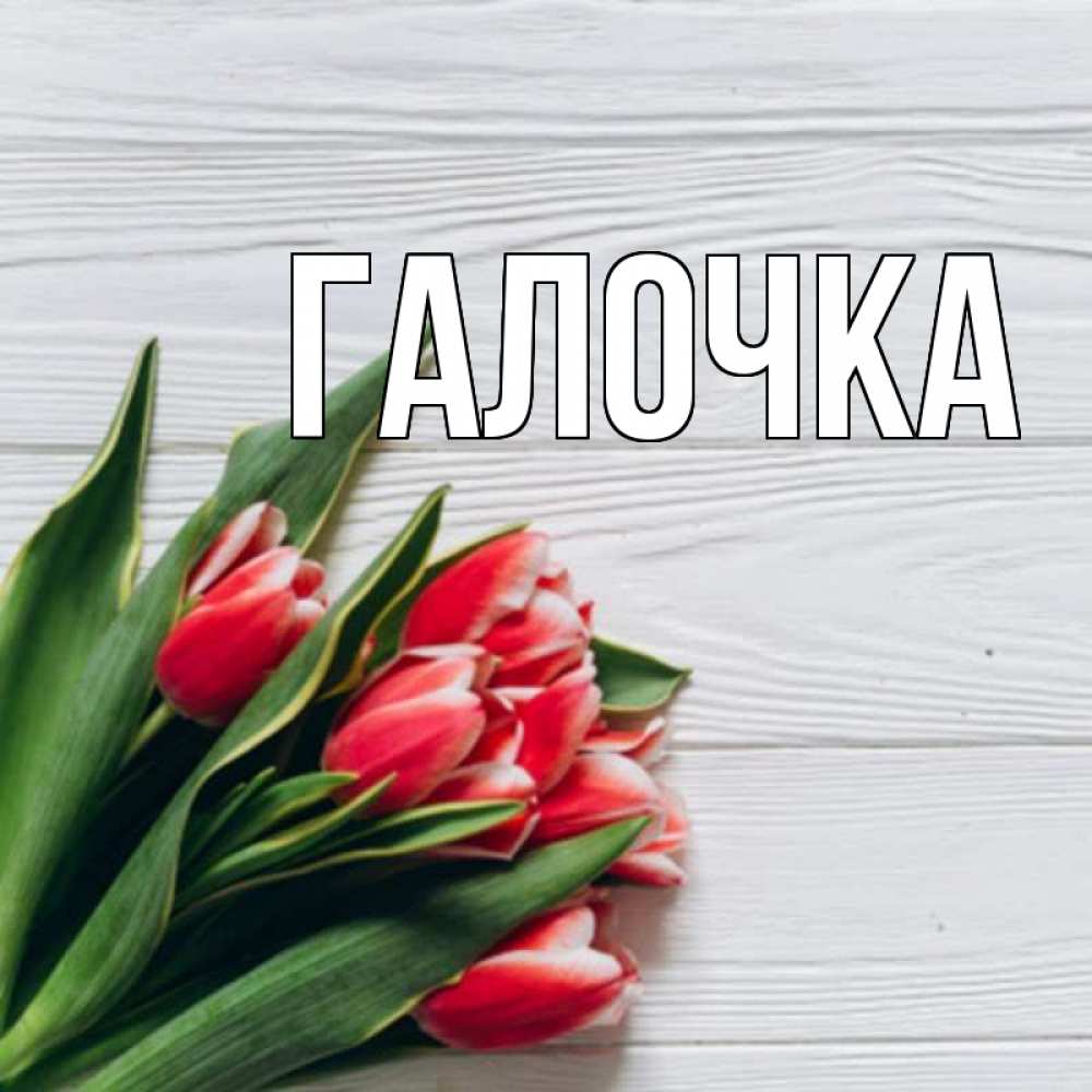 Открытка на каждый день с именем, Галочка Главная весна 2 Прикольная открытка с пожеланием онлайн скачать бесплатно 