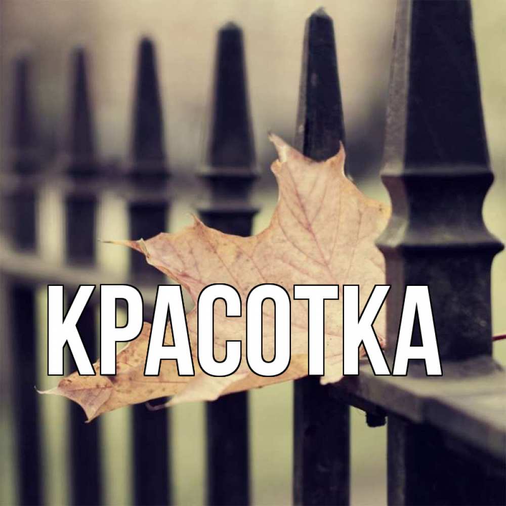 Открытка на каждый день с именем, красотка Главная очень скучно Прикольная открытка с пожеланием онлайн скачать бесплатно 