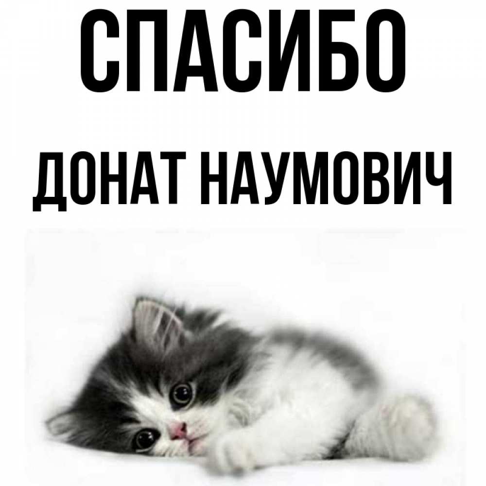 Спасибо за донат картинка