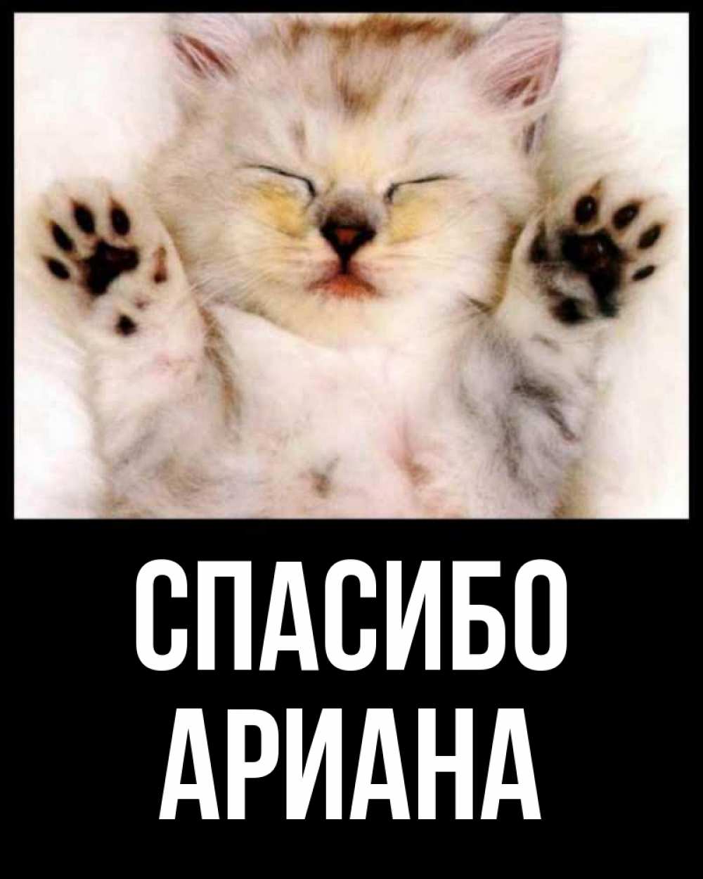 Открытка на каждый день с именем, Ариана Спасибо маленький котенок Прикольная открытка с пожеланием онлайн скачать бесплатно 