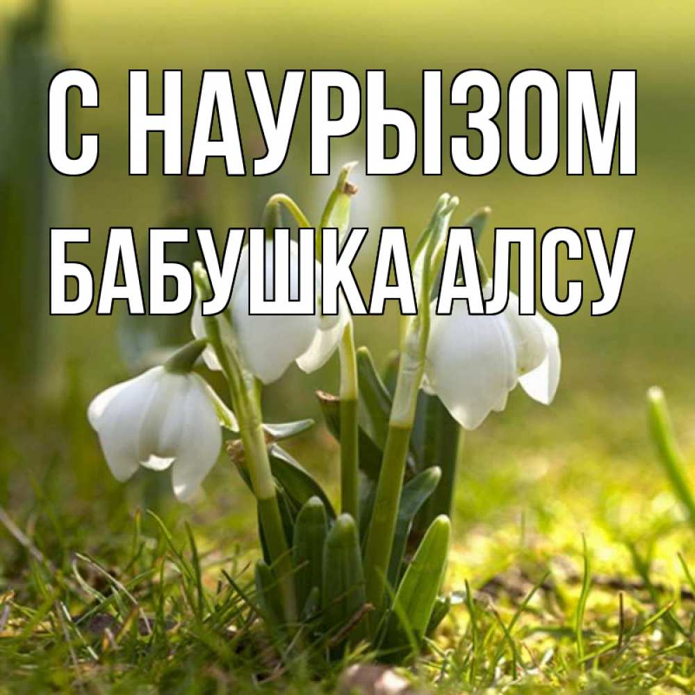 Открытка на каждый день с именем, Бабушка-Алсу С наурызом ранние цветы 2 Прикольная открытка с пожеланием онлайн скачать бесплатно 