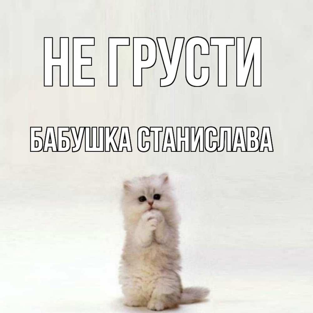 Открытка на каждый день с именем, Бабушка-Станислава Не грусти грустный кот Прикольная открытка с пожеланием онлайн скачать бесплатно 