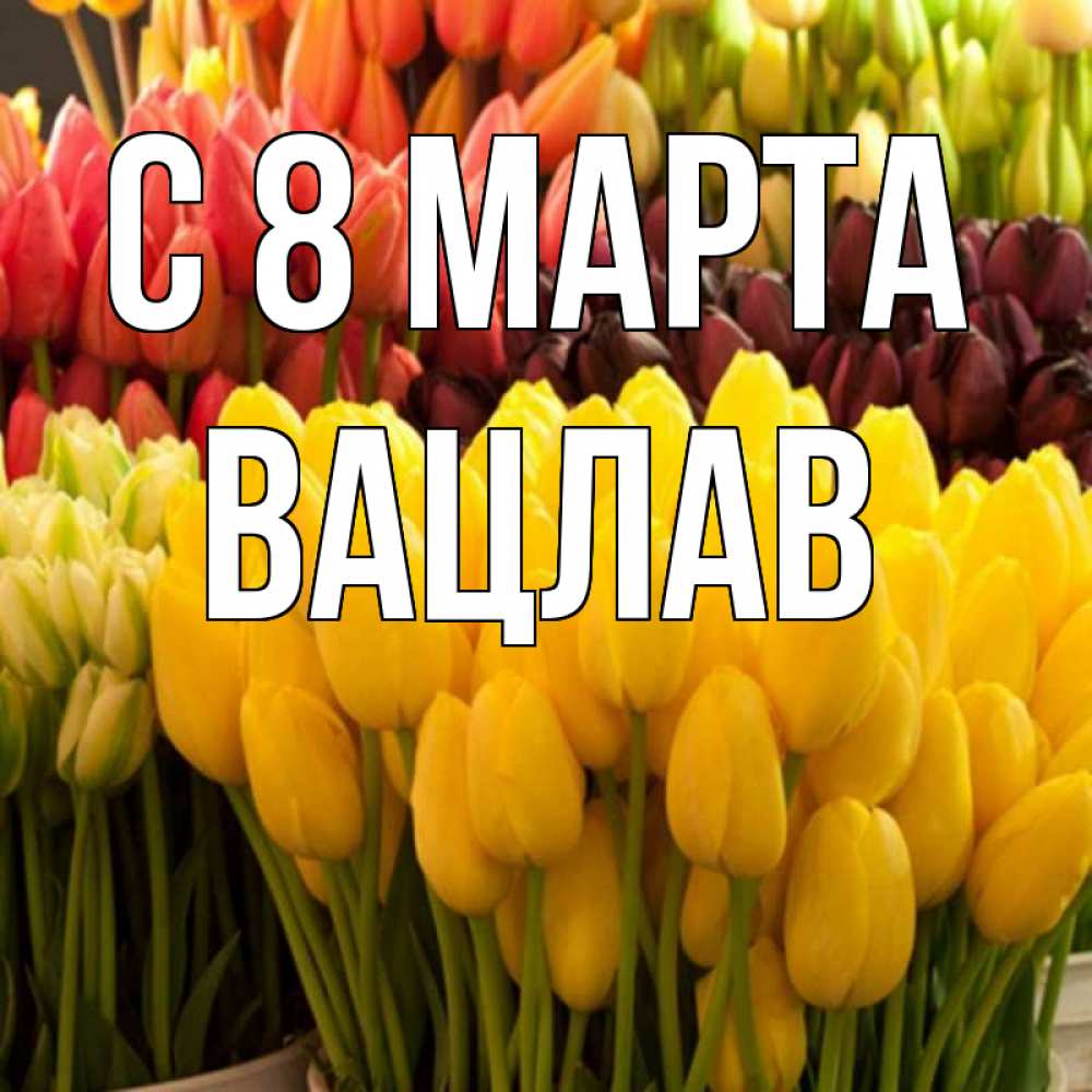 Открытка на каждый день с именем, Вацлав С 8 МАРТА цветы Прикольная открытка с пожеланием онлайн скачать бесплатно 