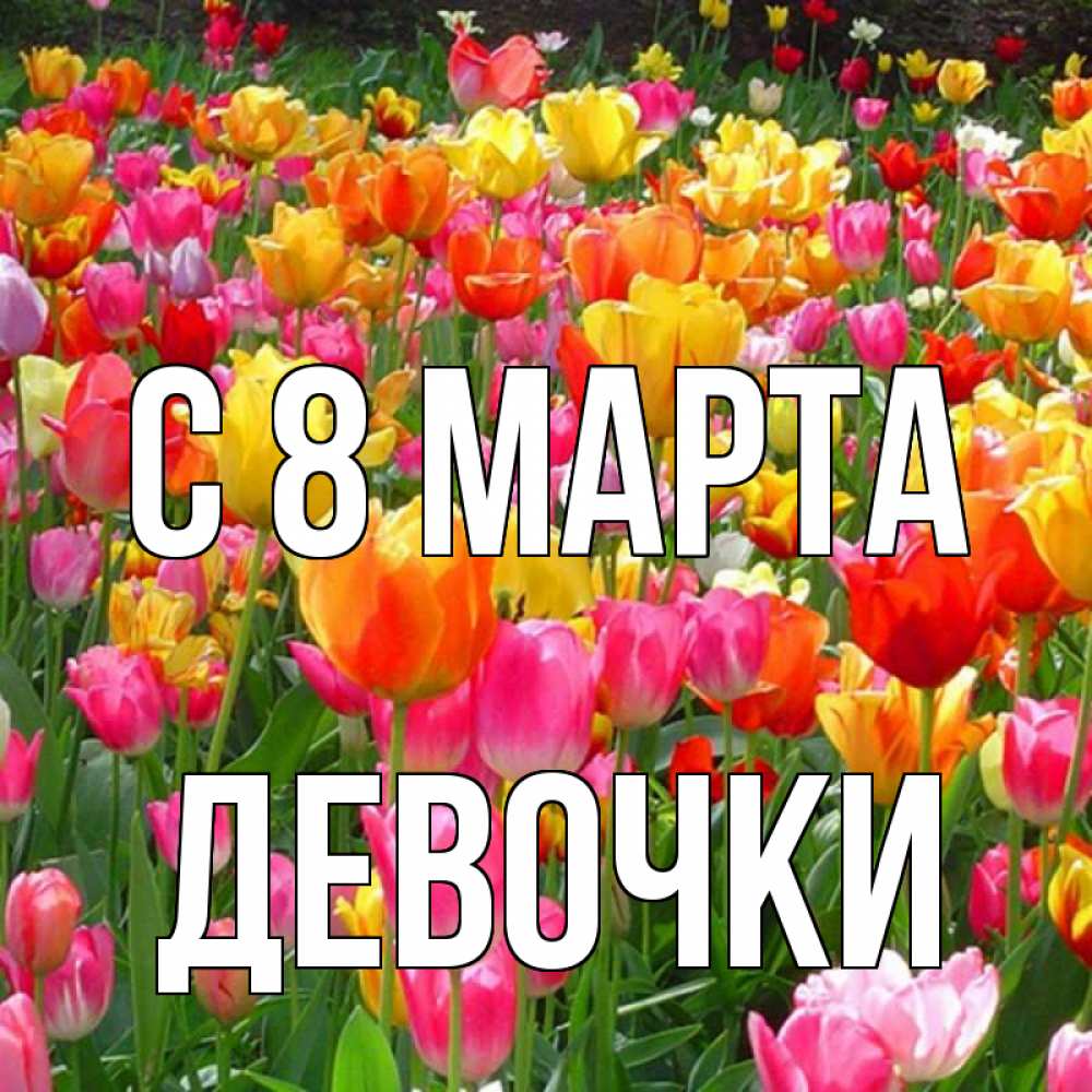Открытка на каждый день с именем, ДЕВОЧКИ С 8 марта на международный женский день Прикольная открытка с пожеланием онлайн скачать бесплатно 