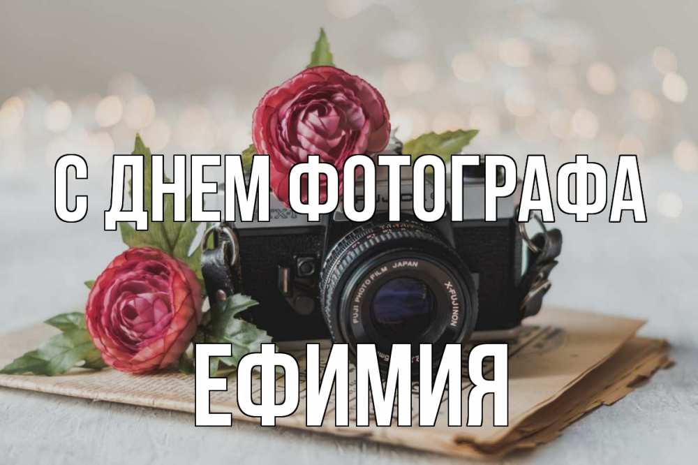 Открытка на каждый день с именем, Ефимия С днем фотографа с днем фотографа Прикольная открытка с пожеланием онлайн скачать бесплатно 