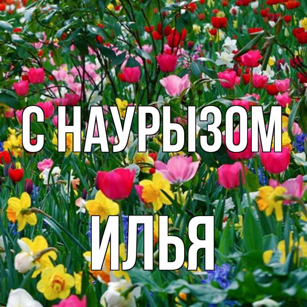 Открытка на каждый день с именем, Илья С наурызом с наурызом праздником весны поздравления для женщины Прикольная открытка с пожеланием онлайн скачать бесплатно 