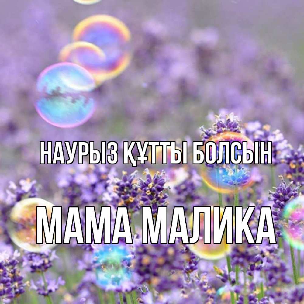 Открытка на каждый день с именем, Мама-Малика Наурыз құтты болсын цветы Прикольная открытка с пожеланием онлайн скачать бесплатно 