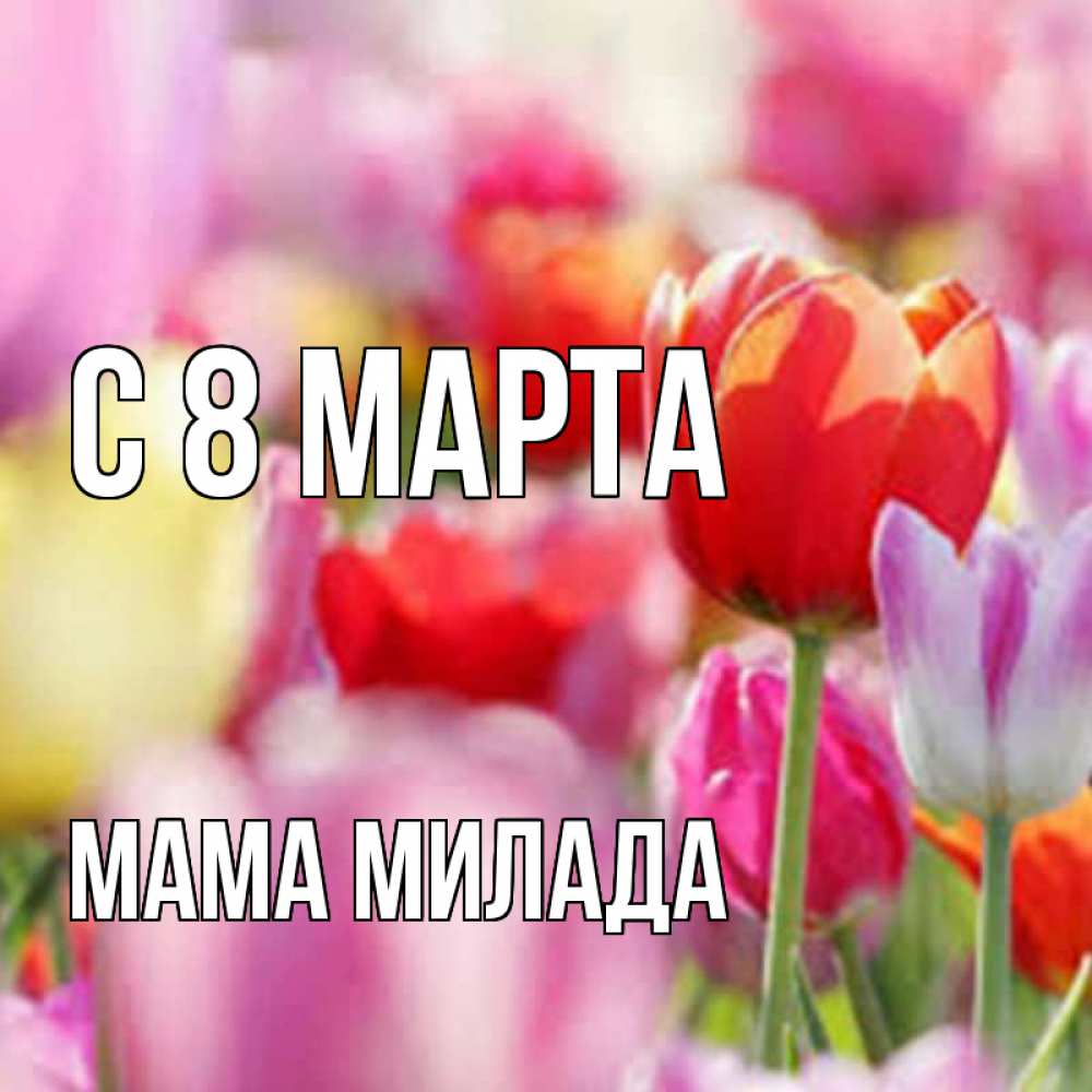 Открытка на каждый день с именем, Мама-Милада С 8 МАРТА на международный женский день 2 Прикольная открытка с пожеланием онлайн скачать бесплатно 