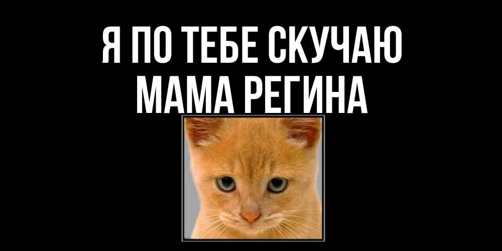 Открытка на каждый день с именем, Мама-Регина Я по тебе скучаю открытки рыжий котенок скучает по тебе Прикольная открытка с пожеланием онлайн скачать бесплатно 