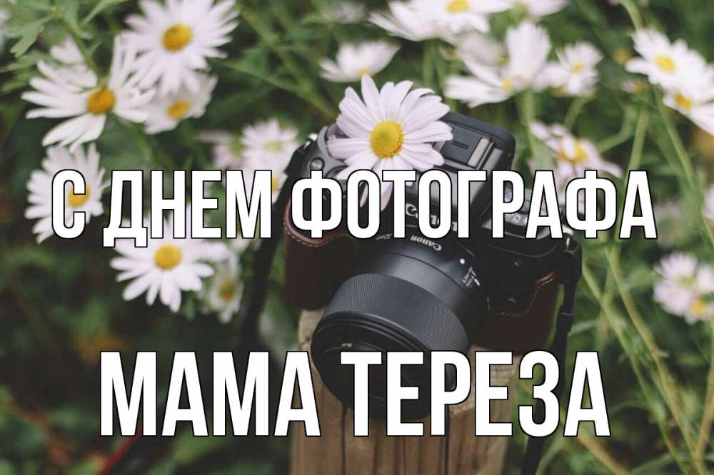 Открытка на каждый день с именем, Мама-Тереза С днем фотографа с днем фотографа Прикольная открытка с пожеланием онлайн скачать бесплатно 