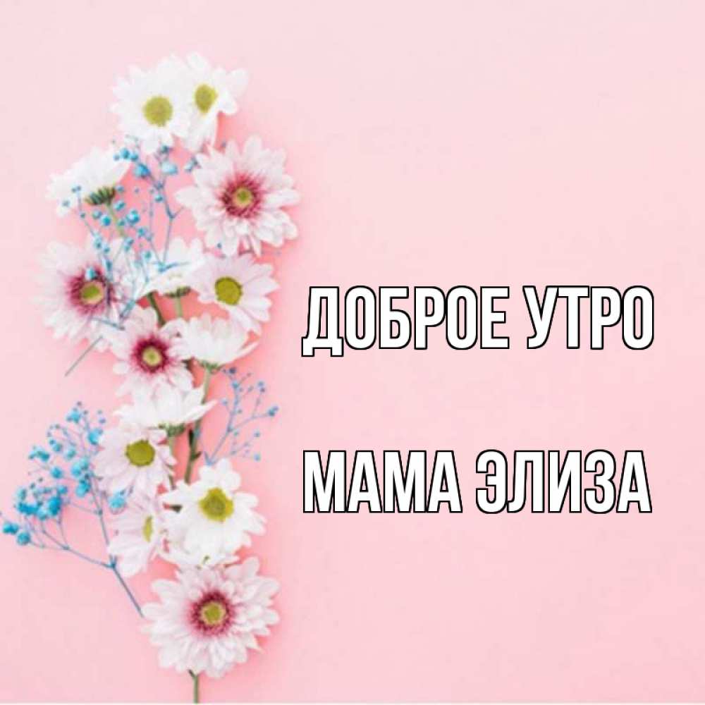 Открытка на каждый день с именем, Мама-Элиза Доброе утро цветы с подписью Прикольная открытка с пожеланием онлайн скачать бесплатно 