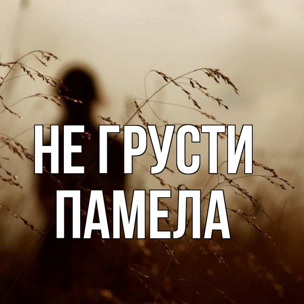 Открытка на каждый день с именем, Памела Не грусти грусть Прикольная открытка с пожеланием онлайн скачать бесплатно 