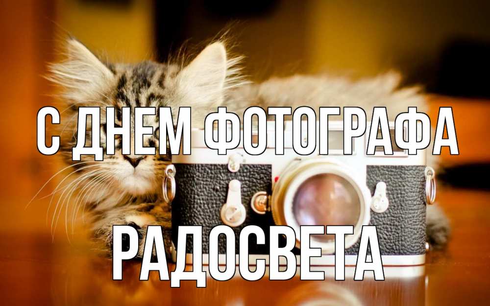 Открытка на каждый день с именем, Радосвета С днем фотографа с днем фотографа Прикольная открытка с пожеланием онлайн скачать бесплатно 