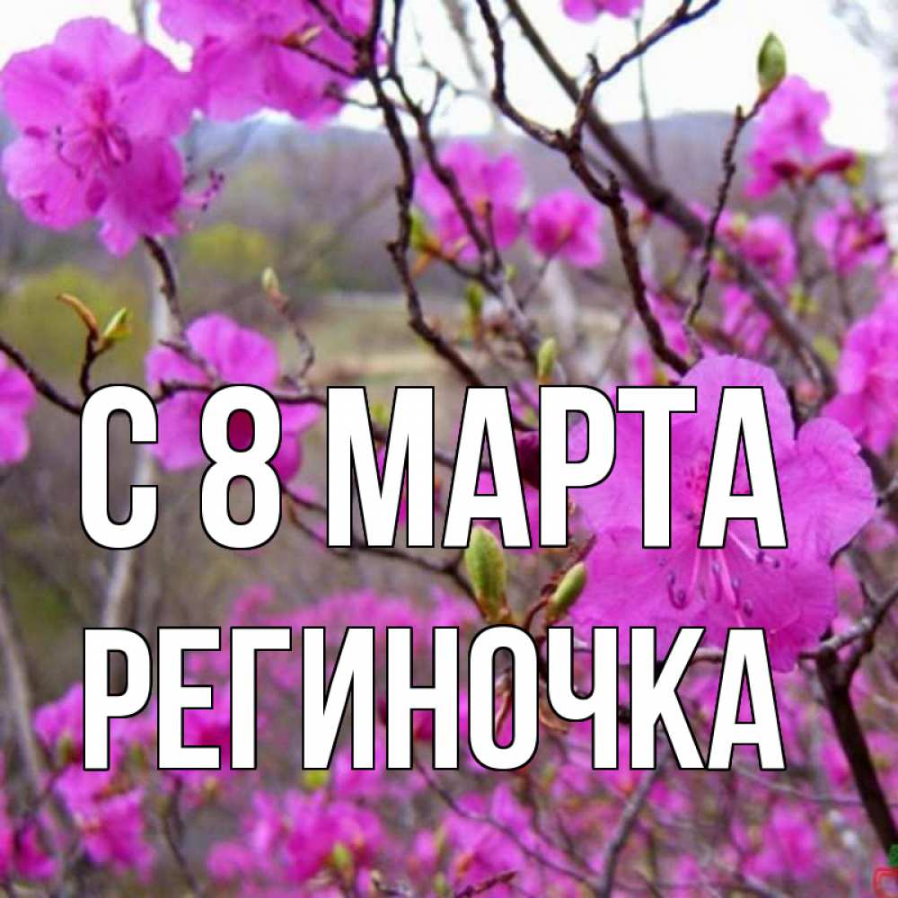 Открытка на каждый день с именем, Региночка С 8 марта международный женский день Прикольная открытка с пожеланием онлайн скачать бесплатно 