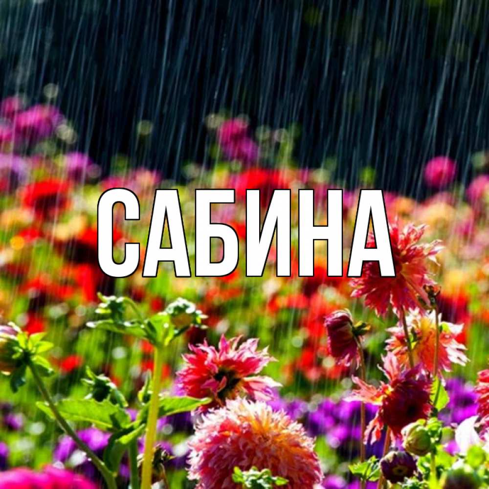Открытка на каждый день с именем, Сабина Главная цветы под дождиком к наурызу Прикольная открытка с пожеланием онлайн скачать бесплатно 