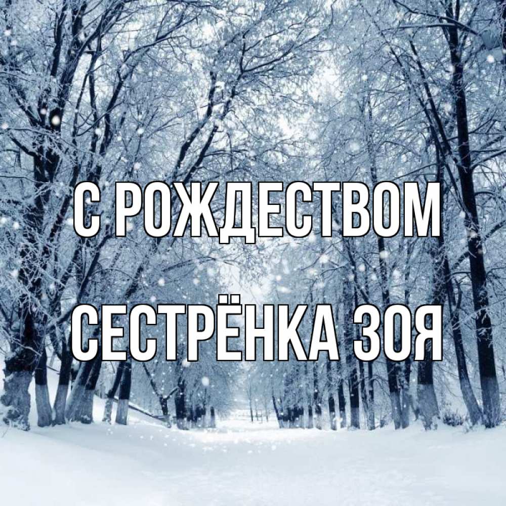 Открытка на каждый день с именем, Сестрёнка-Зоя С рождеством снег, лес, парк Прикольная открытка с пожеланием онлайн скачать бесплатно 