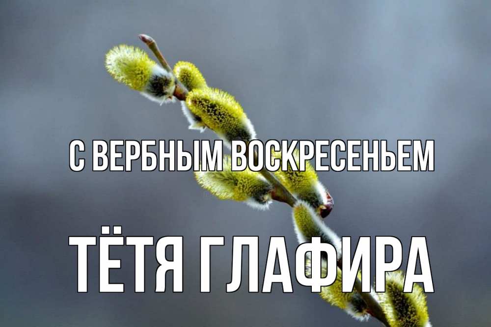 Открытка на каждый день с именем, Тётя-Глафира С вербным воскресеньем верба Прикольная открытка с пожеланием онлайн скачать бесплатно 