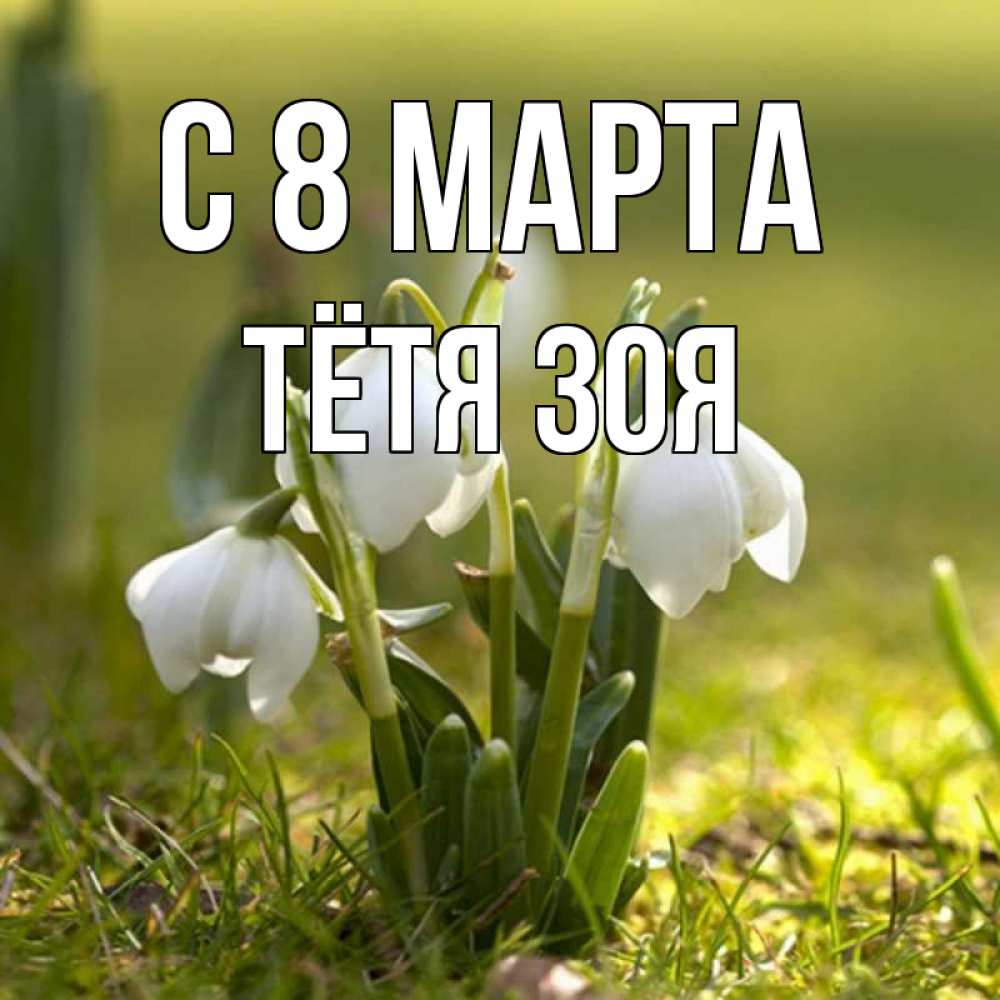 Открытка на каждый день с именем, Тётя-Зоя С 8 МАРТА ранние цветы 2 Прикольная открытка с пожеланием онлайн скачать бесплатно 