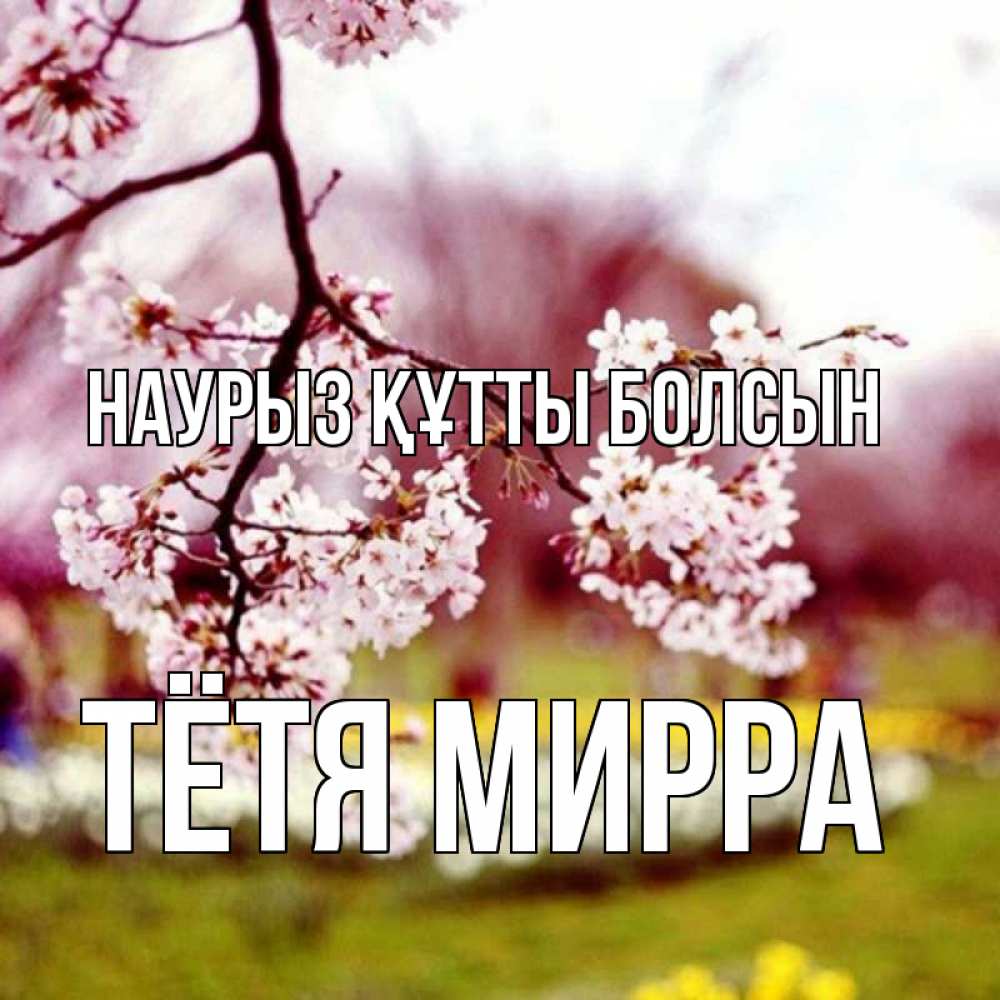 Открытка на каждый день с именем, Тётя-Мирра Наурыз құтты болсын яблоня Прикольная открытка с пожеланием онлайн скачать бесплатно 