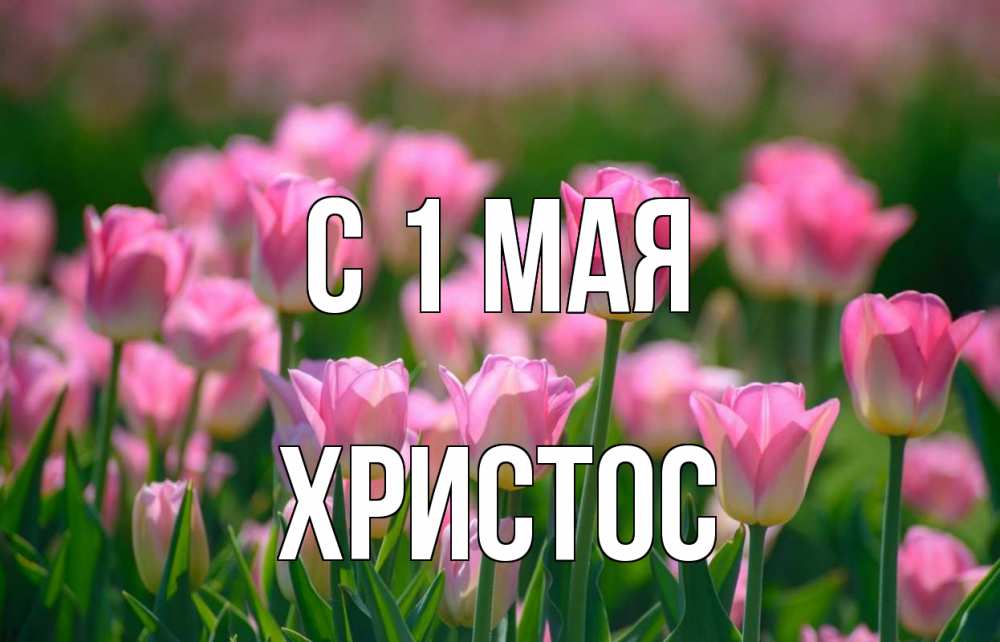 Открытка на каждый день с именем, Христос С 1 мая С 1 мая Прикольная открытка с пожеланием онлайн скачать бесплатно 