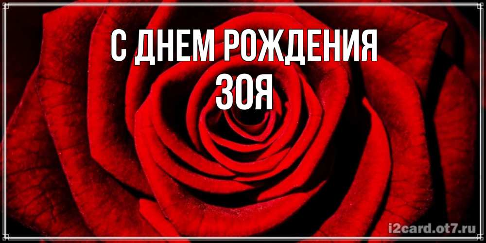 Открытка на каждый день с именем, зоя С днем рождения алая роза Прикольная открытка с пожеланием онлайн скачать бесплатно 