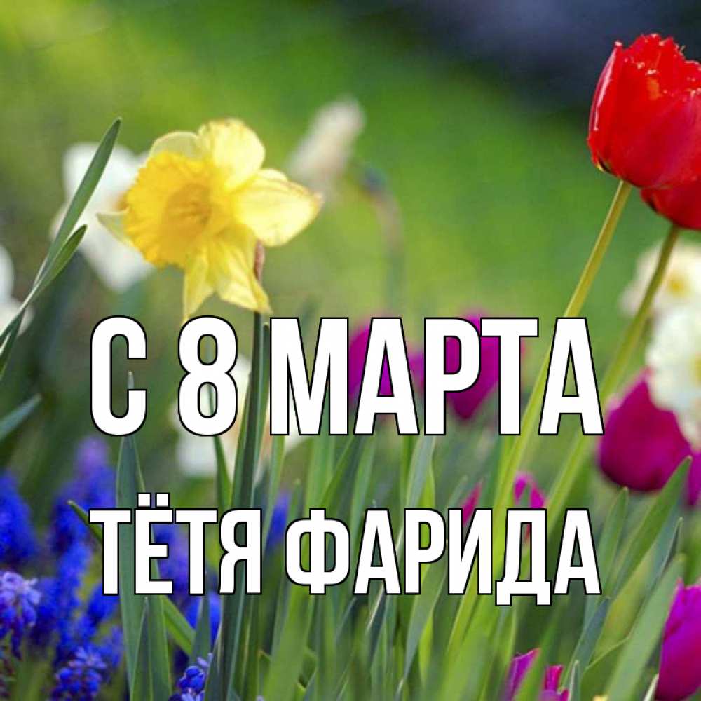 Открытка на каждый день с именем, Тётя-Фарида С 8 МАРТА международный женский день 3 Прикольная открытка с пожеланием онлайн скачать бесплатно 