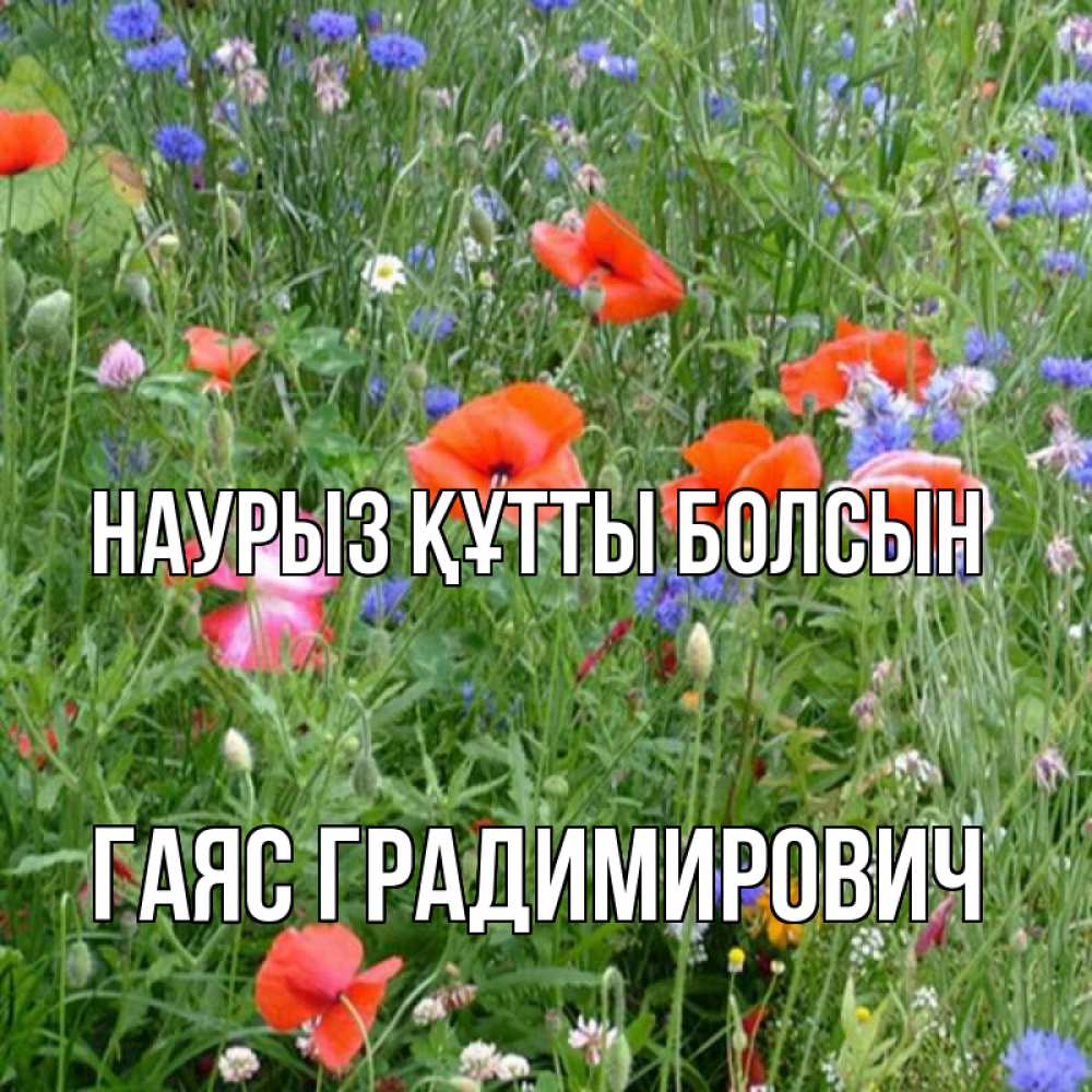 Картинка Наурыз құтты болсын, Гаяс Градимирович