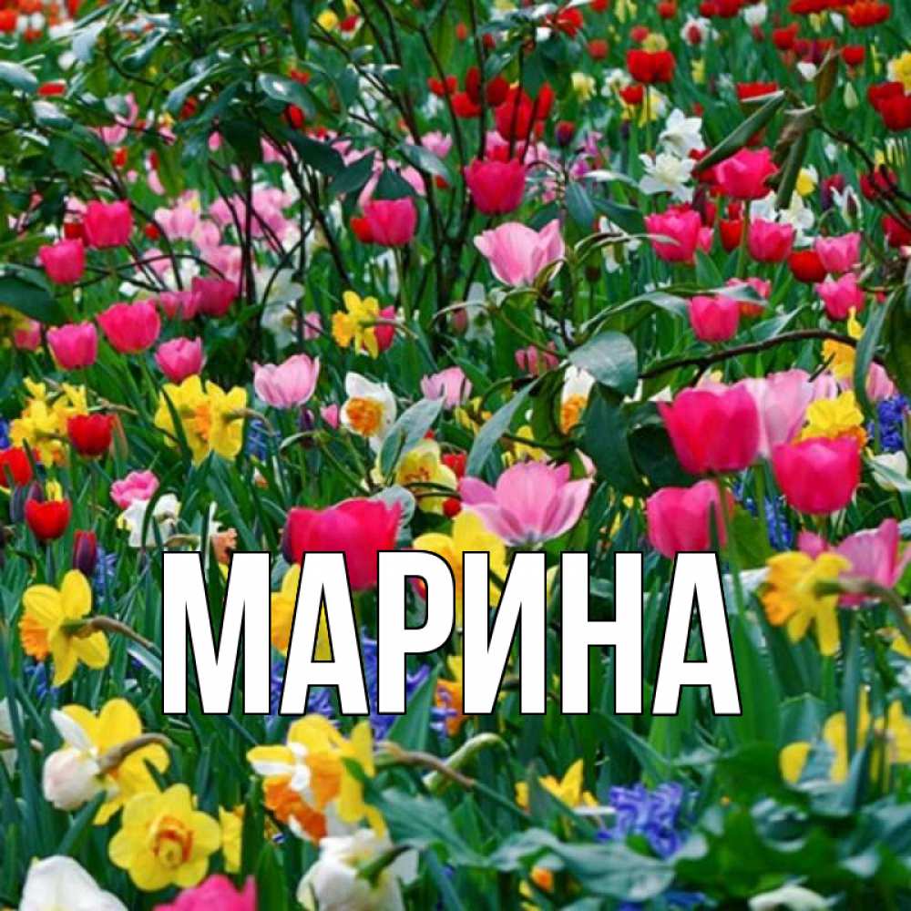 Картинка  с именем , Марина
