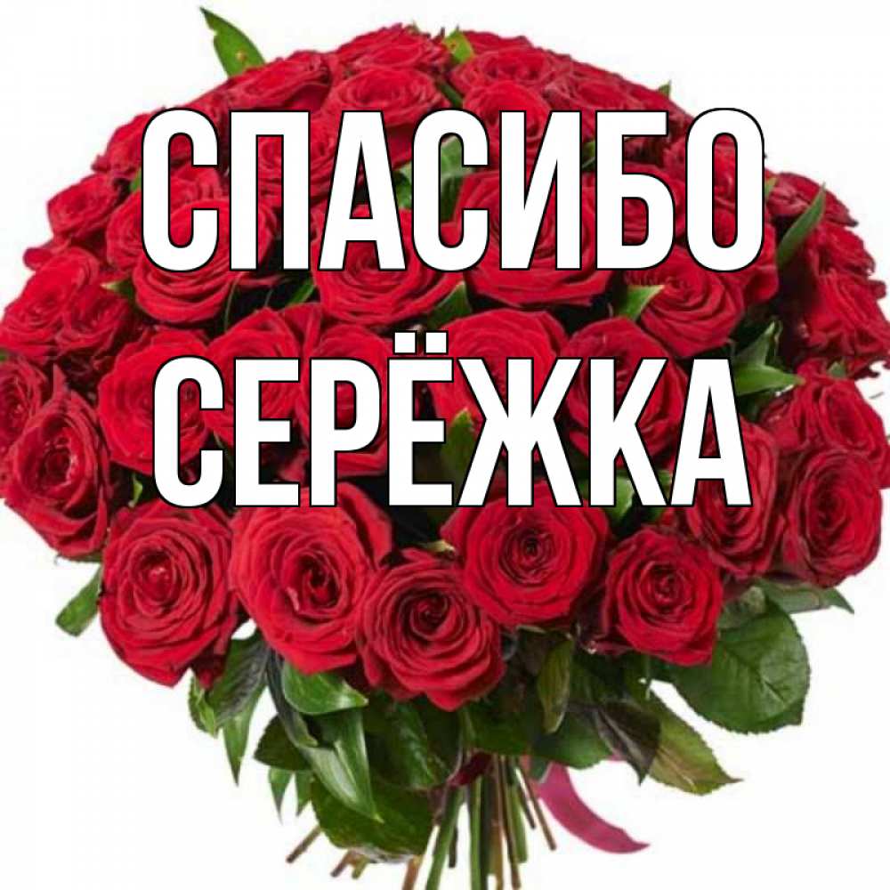 Картинка Спасибо, Серёжка