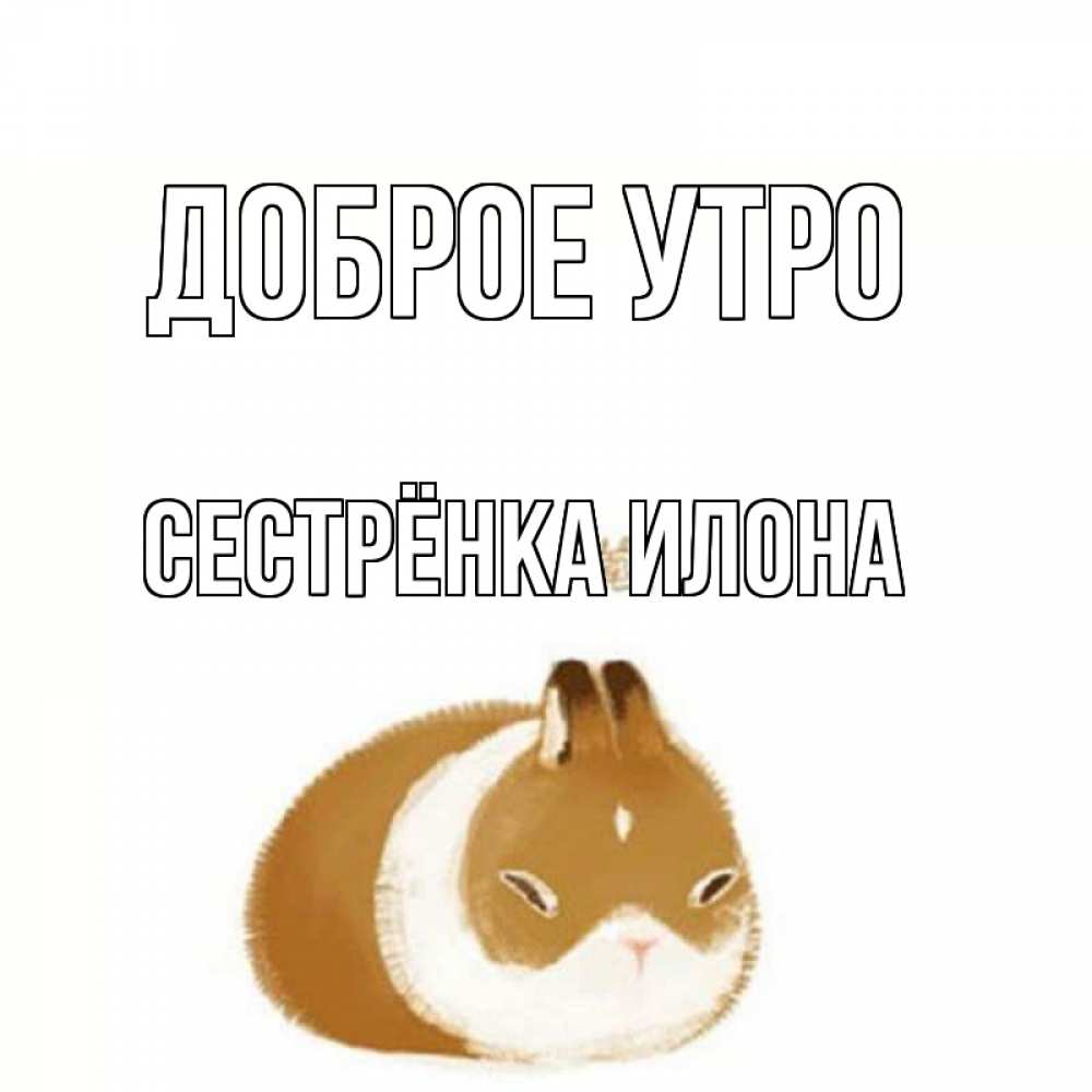 Открытка на каждый день с именем, Сестрёнка-Илона Доброе утро хорошего утречка Прикольная открытка с пожеланием онлайн скачать бесплатно 