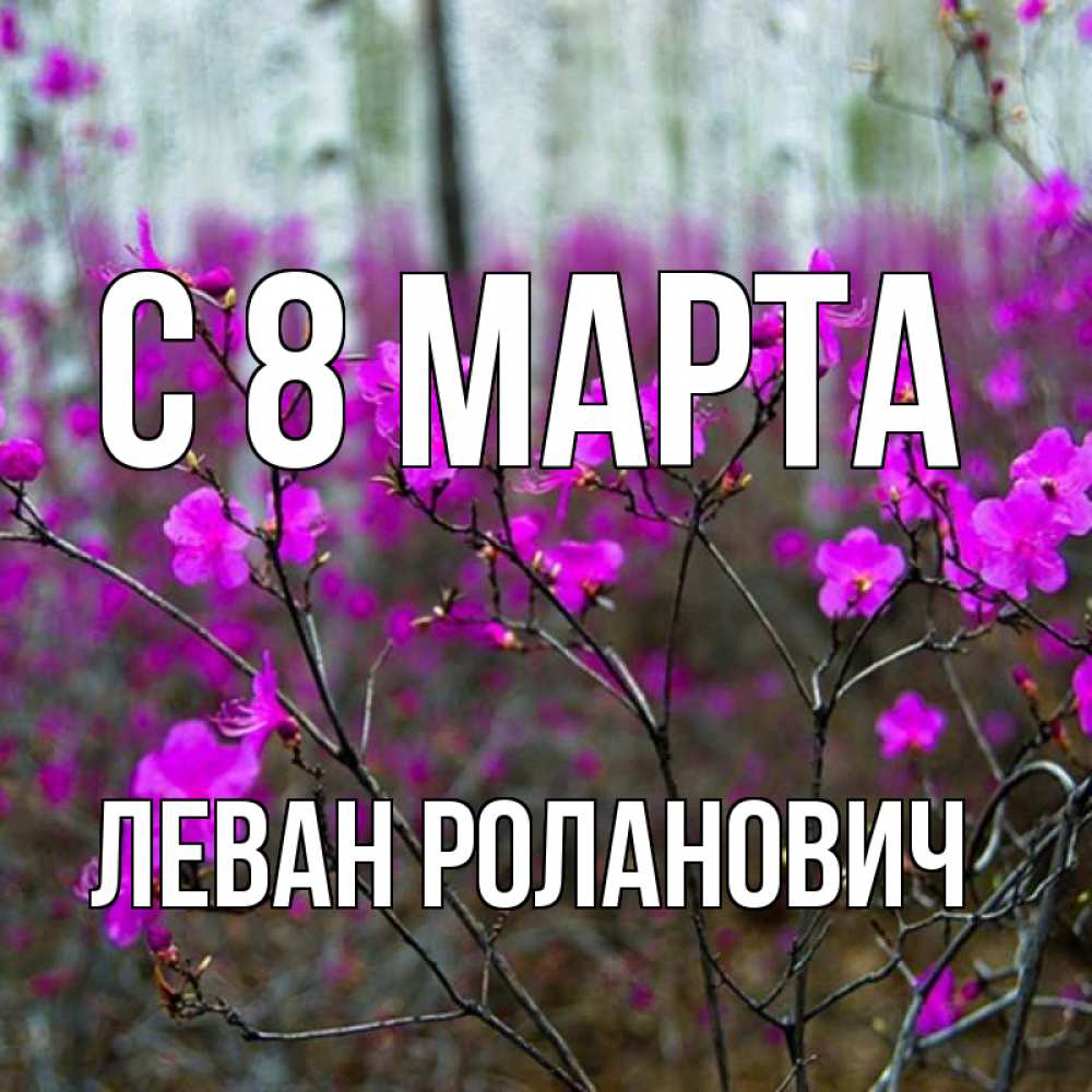 Картинка С 8 марта, Леван Роланович