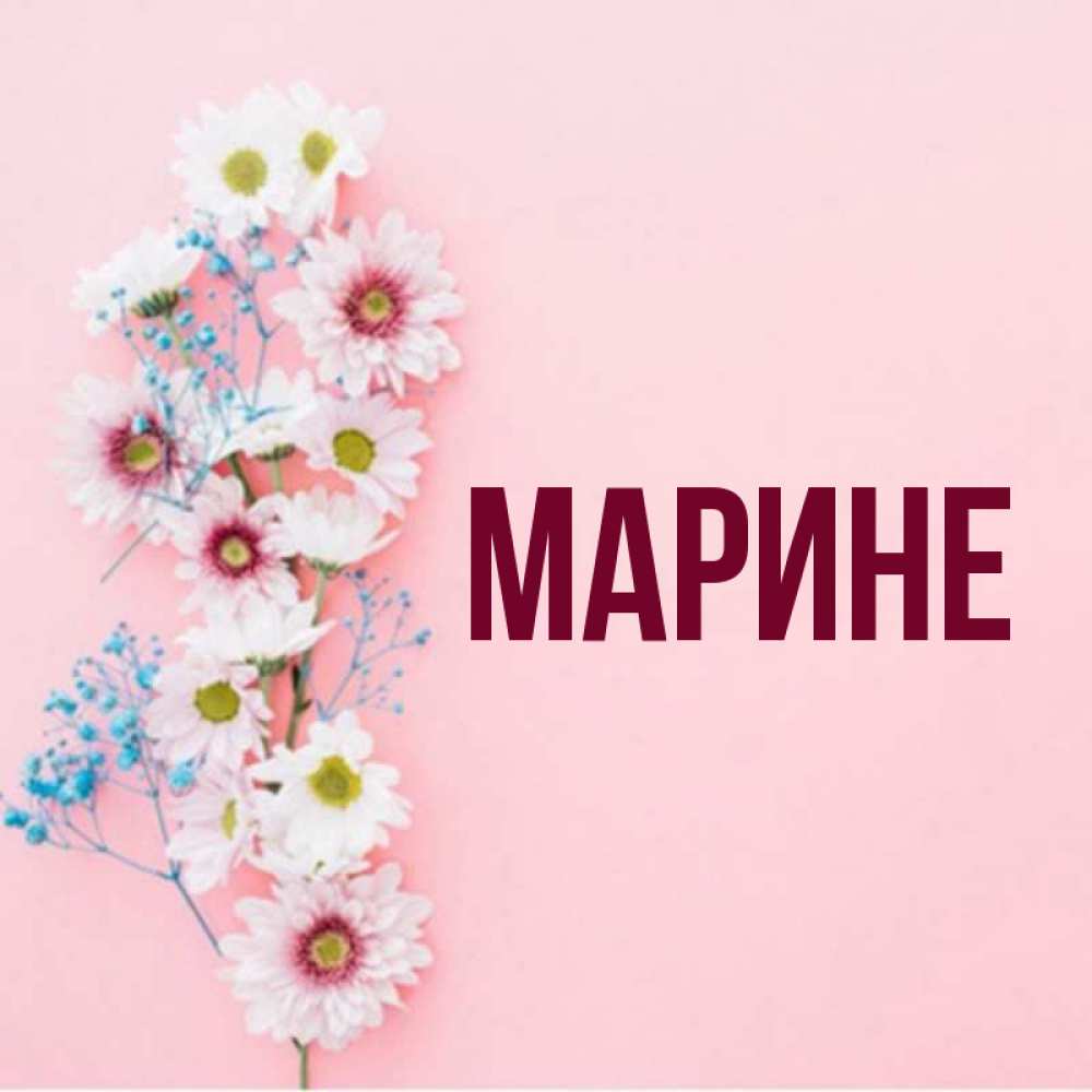 Цветы марине картинки