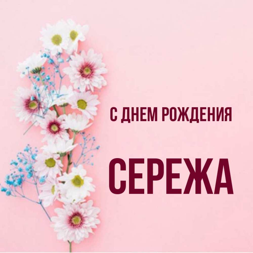 День рождения сережа