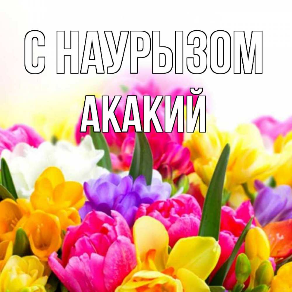 Открытка на каждый день с именем, Акакий С наурызом тюльпаны Прикольная открытка с пожеланием онлайн скачать бесплатно 