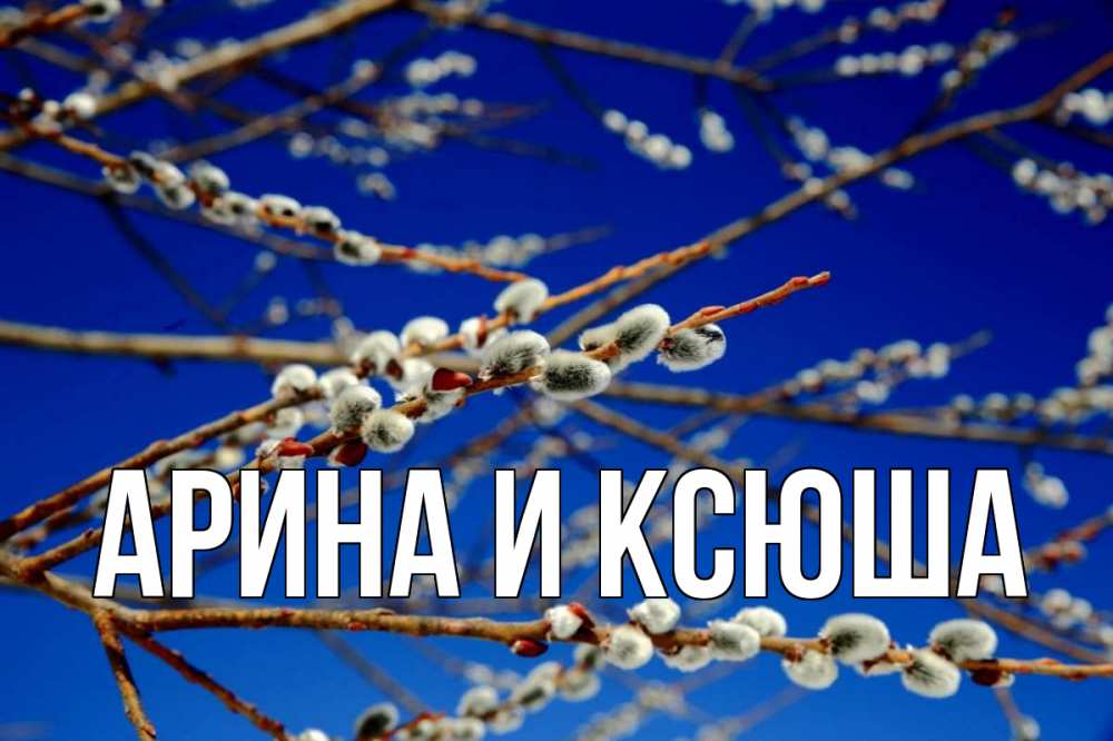 Открытка на каждый день с именем, Арина-и-Ксюша Главная верба Прикольная открытка с пожеланием онлайн скачать бесплатно 