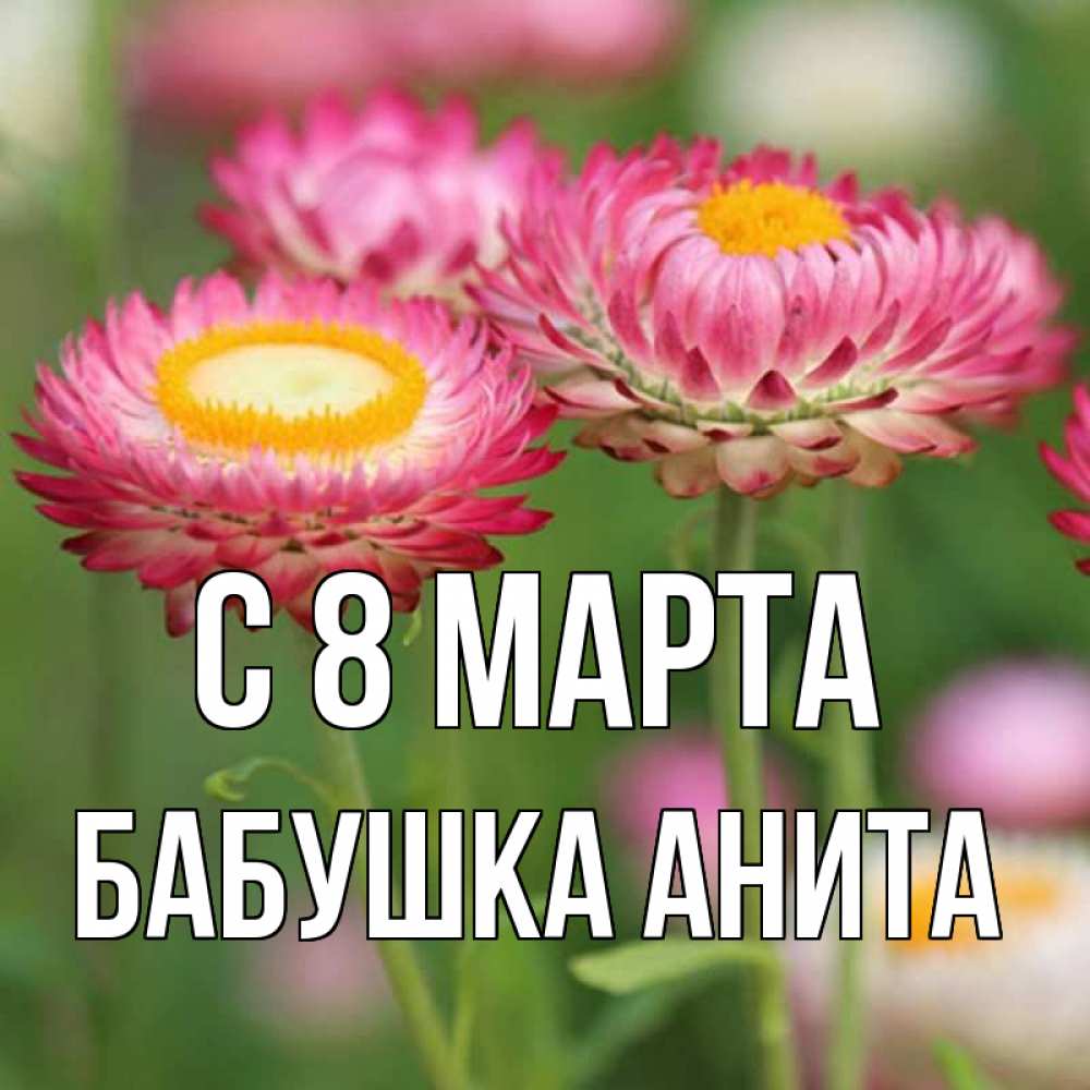 Открытка на каждый день с именем, Бабушка-Анита С 8 МАРТА подарок на международный женский день Прикольная открытка с пожеланием онлайн скачать бесплатно 
