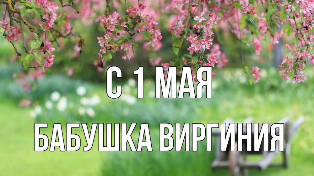 Открытка на каждый день с именем, Бабушка-Виргиния С 1 мая С 1 мая Прикольная открытка с пожеланием онлайн скачать бесплатно 