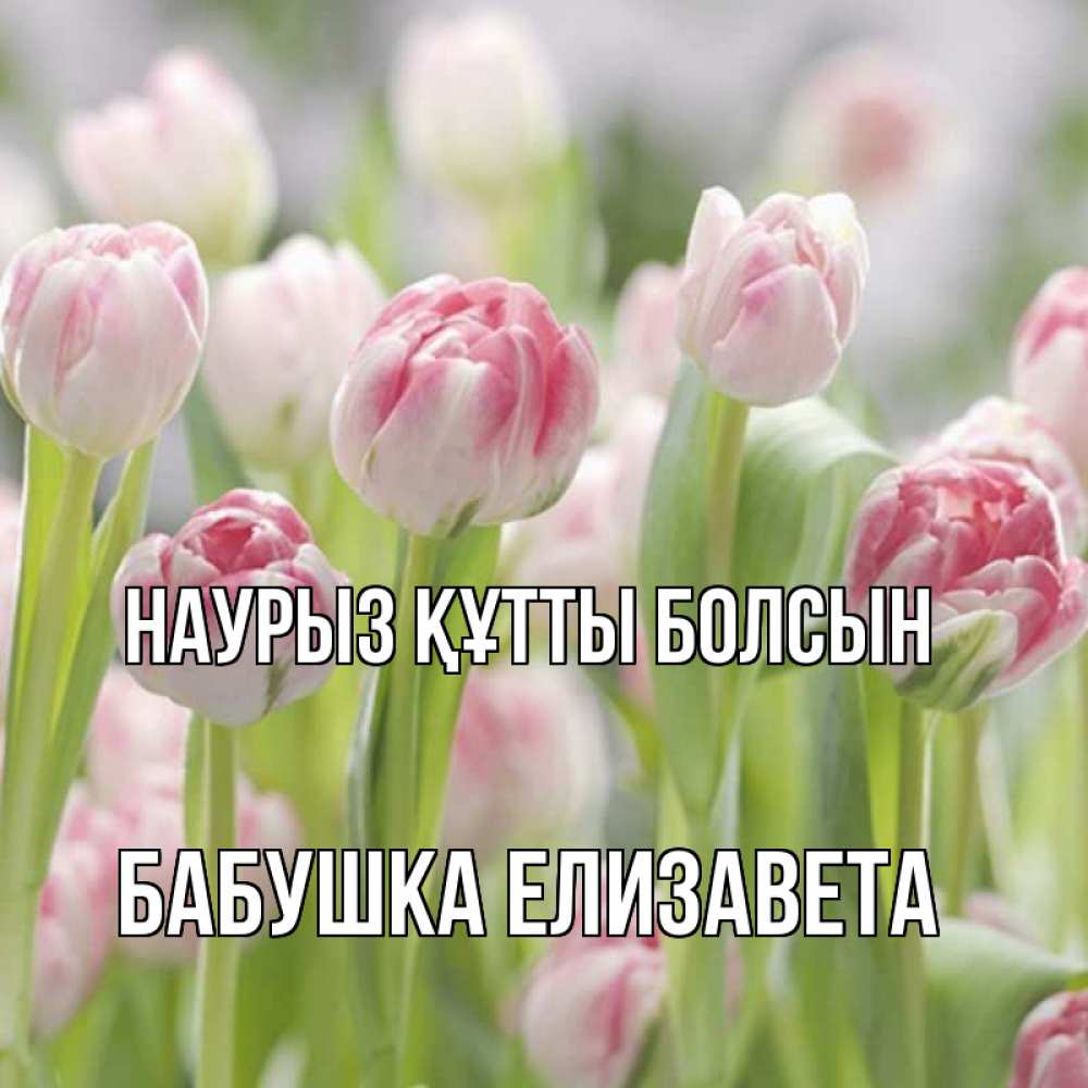 Открытка на каждый день с именем, Бабушка-Елизавета Наурыз құтты болсын цветы Прикольная открытка с пожеланием онлайн скачать бесплатно 
