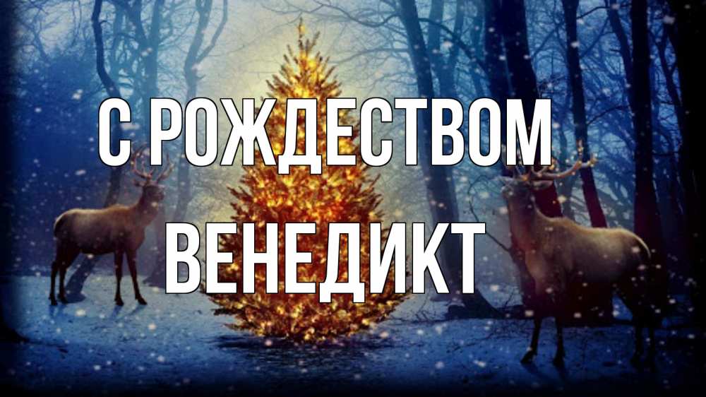 Открытка на каждый день с именем, Венедикт С рождеством олени, новогодняя елка Прикольная открытка с пожеланием онлайн скачать бесплатно 