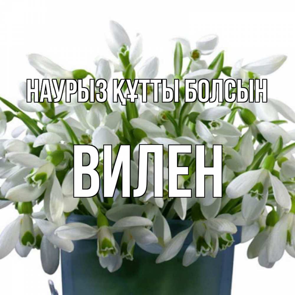 Открытка на каждый день с именем, Вилен Наурыз құтты болсын цветы к наурызу Прикольная открытка с пожеланием онлайн скачать бесплатно 