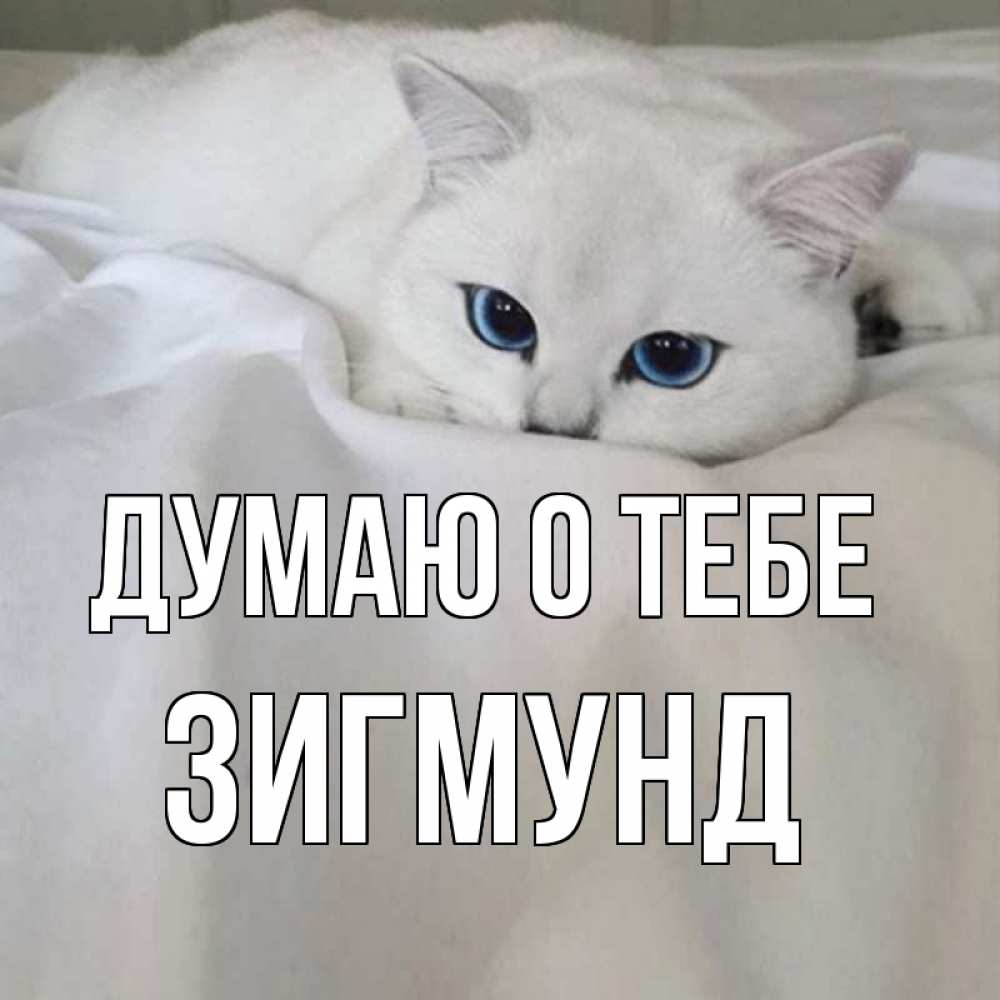 Открытка на каждый день с именем, Зигмунд Думаю о тебе я очень по тебе скучаю и тоскую Прикольная открытка с пожеланием онлайн скачать бесплатно 