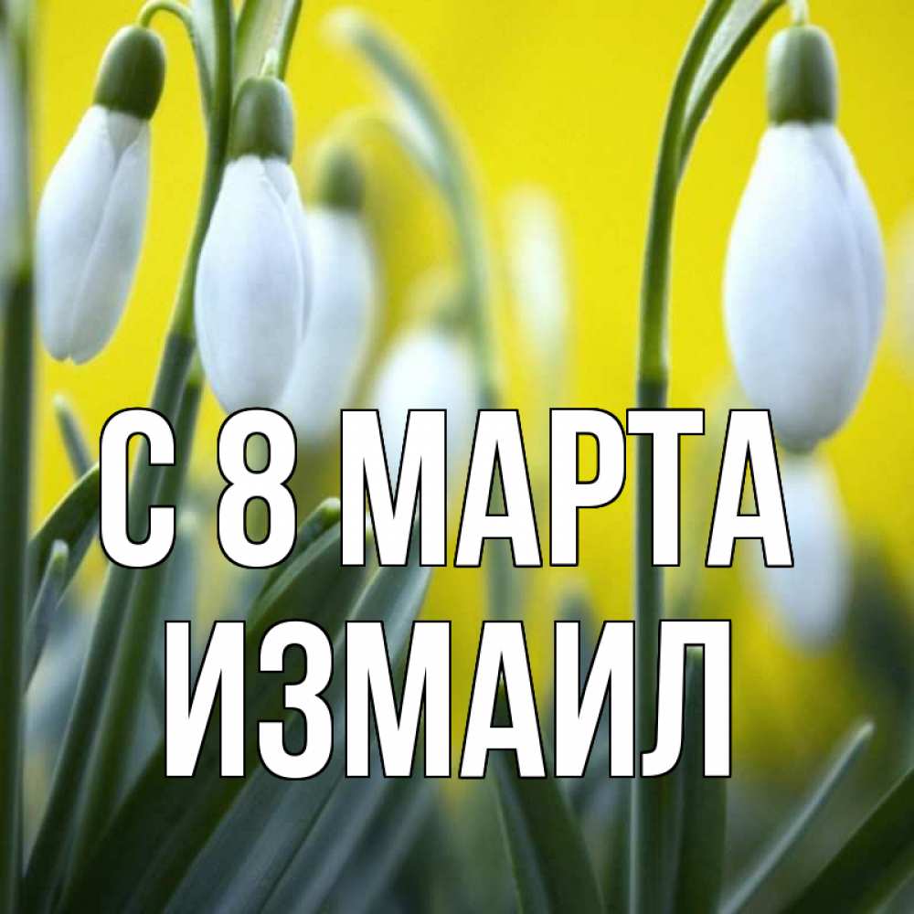 Открытка на каждый день с именем, Измаил С 8 МАРТА весенние цветы Прикольная открытка с пожеланием онлайн скачать бесплатно 