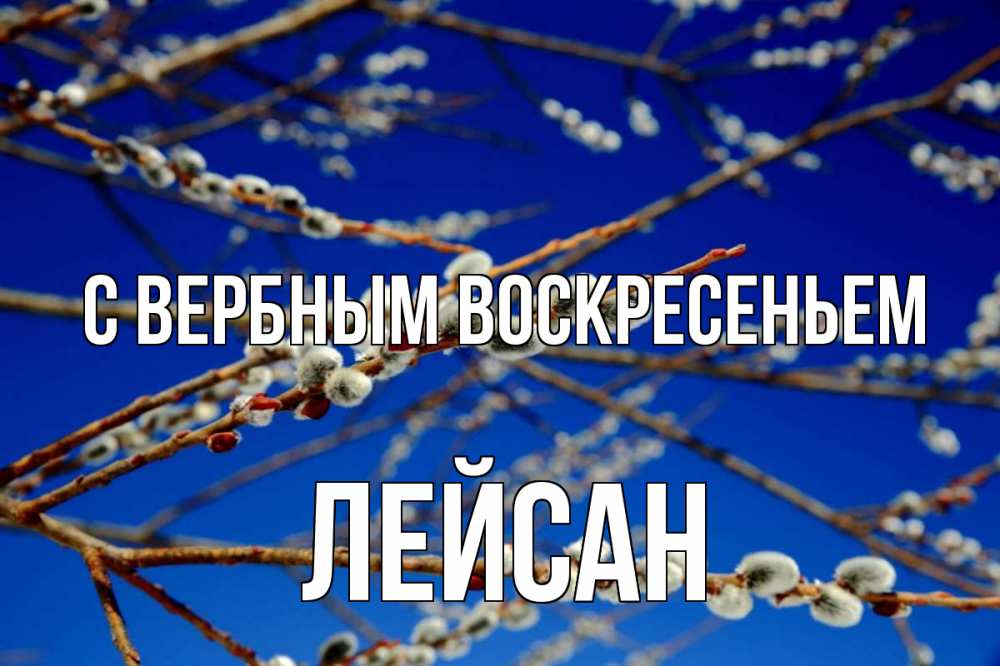 Открытка на каждый день с именем, Лейсан С вербным воскресеньем верба Прикольная открытка с пожеланием онлайн скачать бесплатно 