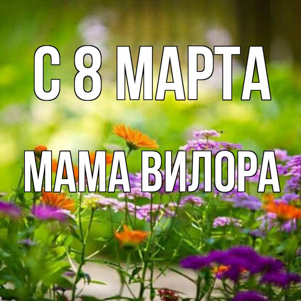 Открытка на каждый день с именем, Мама-Вилора С 8 марта цветы Прикольная открытка с пожеланием онлайн скачать бесплатно 
