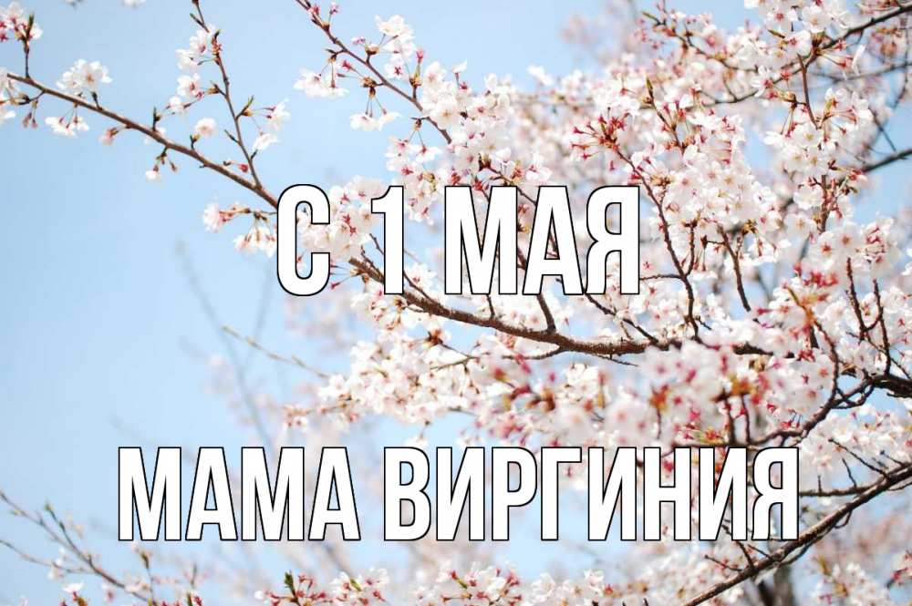 Открытка на каждый день с именем, Мама-Виргиния С 1 мая С 1 мая Прикольная открытка с пожеланием онлайн скачать бесплатно 