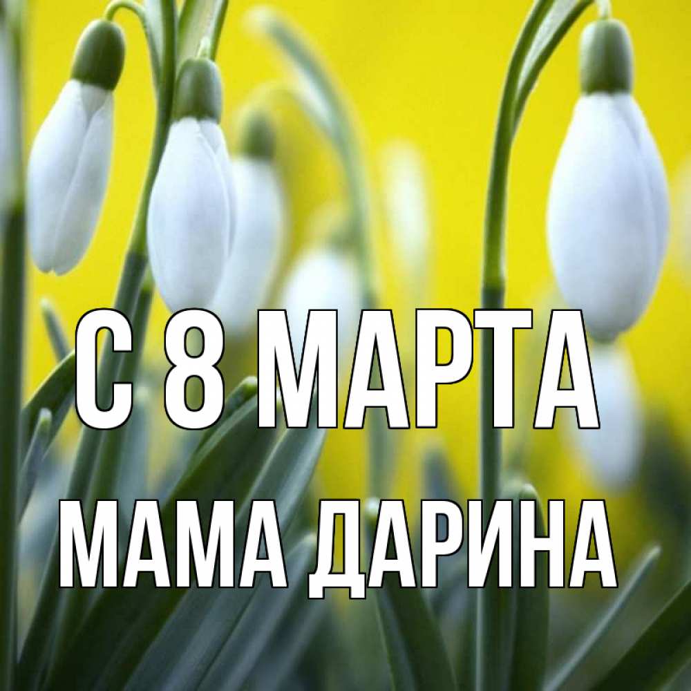 Открытка на каждый день с именем, Мама-Дарина С 8 МАРТА весенние цветы Прикольная открытка с пожеланием онлайн скачать бесплатно 