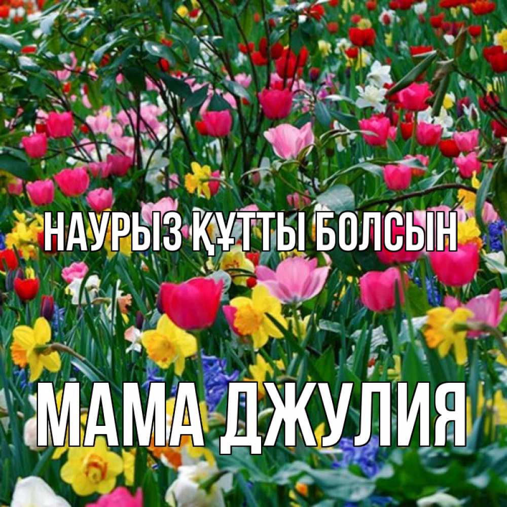 Открытка на каждый день с именем, Мама-Джулия Наурыз құтты болсын с наурызом поздравления для женщины Прикольная открытка с пожеланием онлайн скачать бесплатно 