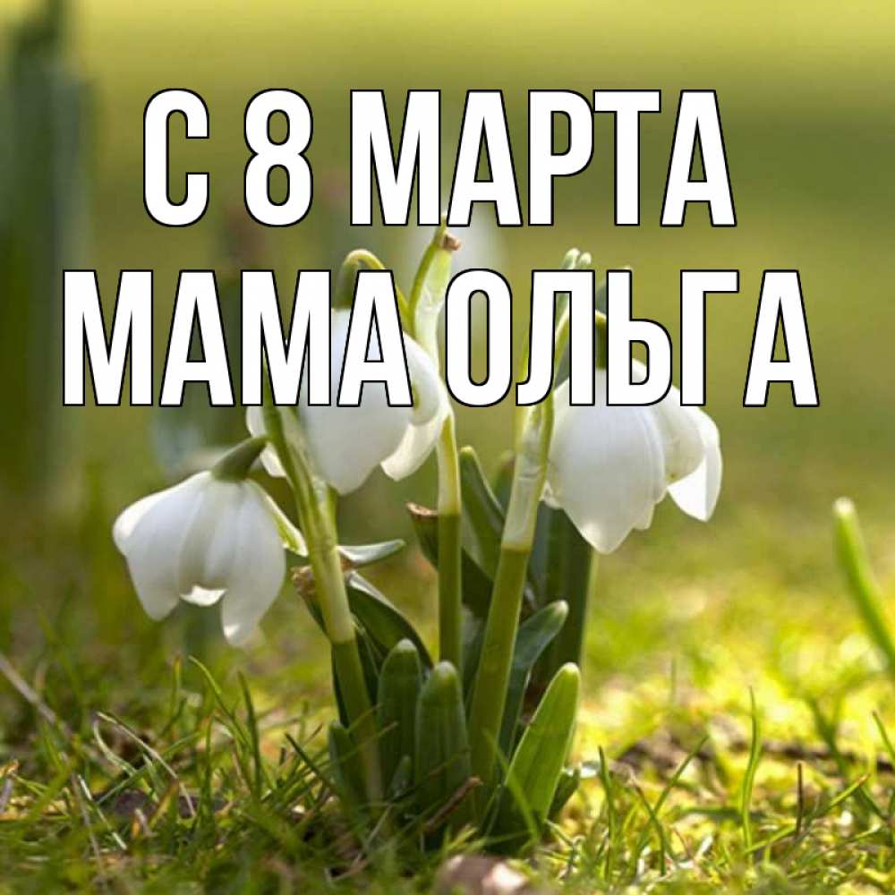 Открытка на каждый день с именем, Мама-Ольга С 8 МАРТА ранние цветы 2 Прикольная открытка с пожеланием онлайн скачать бесплатно 