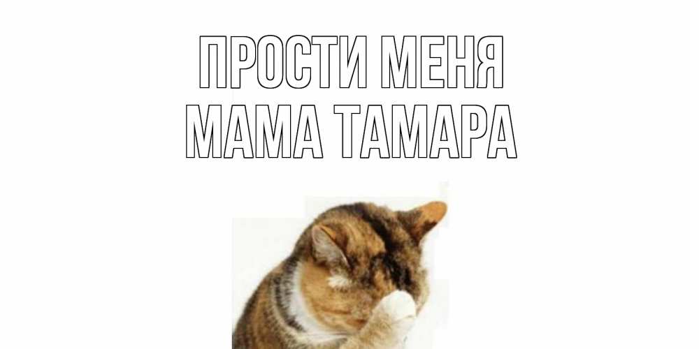 Открытка на каждый день с именем, Мама-Тамара Прости меня кот Прикольная открытка с пожеланием онлайн скачать бесплатно 