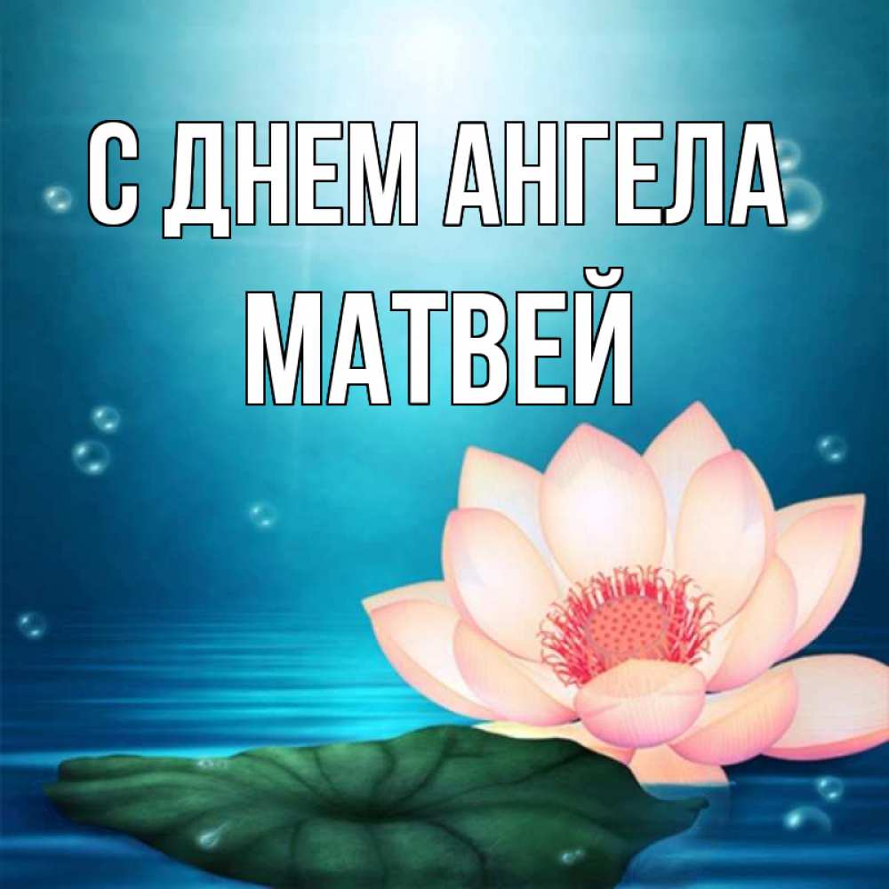 Открытка на каждый день с именем, Матвей С днем ангела кувшинка Прикольная открытка с пожеланием онлайн скачать бесплатно 